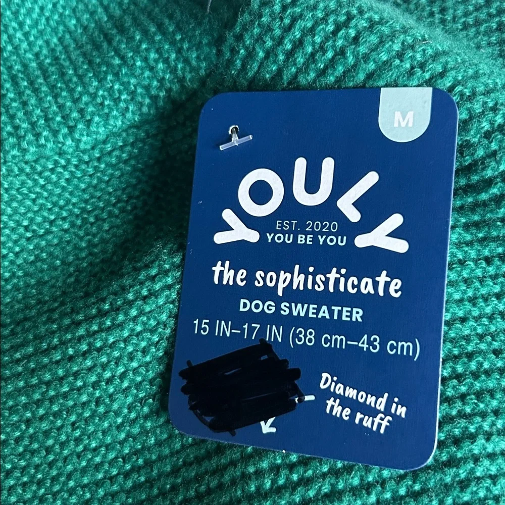 New Teddy hoodie green dog sweater M